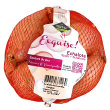 Échalote