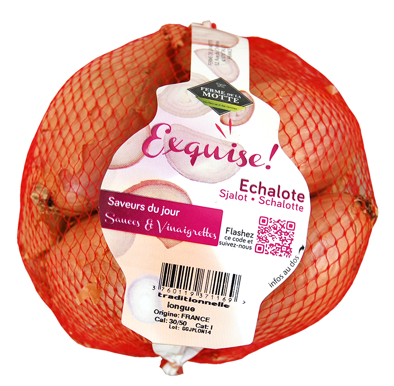 Echalote